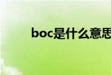 boc是什么意思呢 boc是什么意思