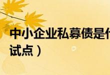 中小企业私募债是什么意思（中小企业私募债试点）