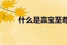 什么是嘉宝至尊人生重疾险2021？