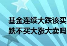 基金连续大跌该买还是该卖 基金大跌大买小跌不买大涨大卖吗