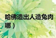 哈佛造出人造兔肉（人造兔肉和人造肉区别在哪）