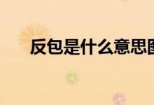 反包是什么意思图解 反包是什么意思 