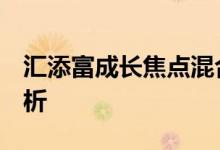 汇添富成长焦点混合（519068）基金投资分析
