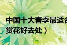 中国十大春季最适合旅游城市（盘点春季踏青赏花好去处）