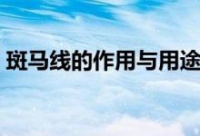 斑马线的作用与用途（斑马线的作用是什么）