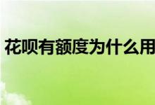 花呗有额度为什么用不了（原因有以下几个）