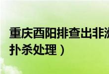 重庆酉阳排查出非洲猪瘟疫情（已对仔猪进行扑杀处理）