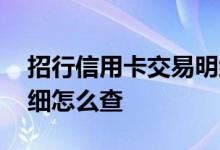 招行信用卡交易明细查询 招行信用卡交易明细怎么查