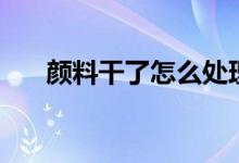 颜料干了怎么处理（颜料干了怎么办）