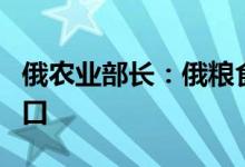俄农业部长：俄粮食产量能满足国内需求和出口