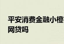 平安消费金融小橙花算网贷吗 平安小橙花是网贷吗