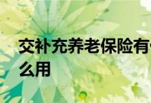 交补充养老保险有什么用 补充养老保险有什么用