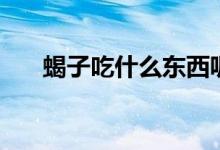 蝎子吃什么东西呢（蝎子吃什么食物）