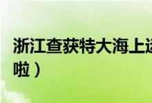 浙江查获特大海上运输假私烟案（买烟要注意啦）