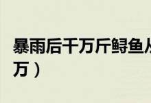 暴雨后千万斤鲟鱼从甘肃流入四川（损失上千万）