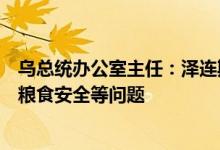 乌总统办公室主任：泽连斯基与法德意领导人的会谈将讨论粮食安全等问题