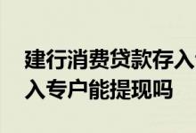 建行消费贷款存入专户提现 建行消费贷款存入专户能提现吗