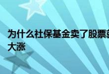 为什么社保基金卖了股票就大涨 为什么社保基金卖了股票就大涨