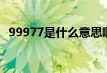 99977是什么意思啊（99977是什么意思）