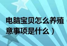 电脑宝贝怎么养殖（电脑宝贝的养殖方法和注意事项是什么）