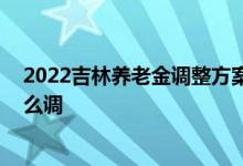 2022吉林养老金调整方案出来了吗 吉林养老金调整方案怎么调 