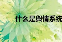 什么是舆情系统（什么是舆情信息）