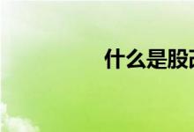 什么是股改 什么是股改