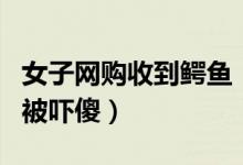 女子网购收到鳄鱼（网购保健品拆快递时瞬间被吓傻）