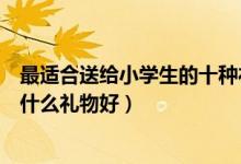 最适合送给小学生的十种礼物（送小学生生日礼物小学生送什么礼物好）