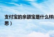 支付宝的余额宝是什么样的原理（支付宝的余额宝是什么意思）