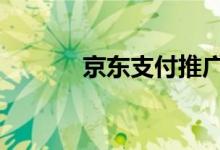 京东支付推广 京东支付安全吗