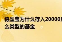 稳盈宝为什么存入20000只剩19800 稳盈宝组合投资的是什么类型的基金