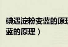 碘遇淀粉变蓝的原理是碘离子吗（碘遇淀粉变蓝的原理）