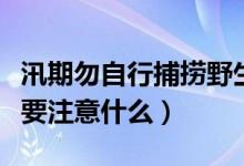 汛期勿自行捕捞野生小龙虾食用（吃小龙虾需要注意什么）