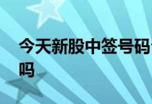 今天新股中签号码公布 新股中签是晚上公布吗