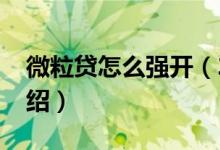 微粒贷怎么强开（2021最新开通技巧一览介绍）