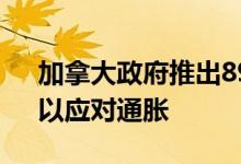 加拿大政府推出89亿加元“支付能力计划”以应对通胀