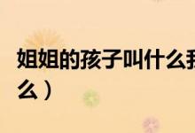 姐姐的孩子叫什么我叫什么（姐姐的孩子叫什么）