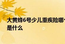 大黄蜂6号少儿重疾险哪个公司 北京大黄蜂5号少儿重疾险是什么