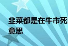 韭菜都是在牛市死的 基金里说的韭菜是什么意思