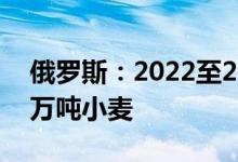 俄罗斯：2022至2023农业年俄可出口3950万吨小麦