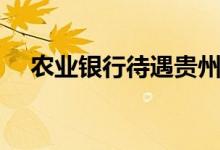 农业银行待遇贵州（农业银行待遇如何）