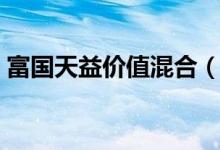 富国天益价值混合（100020）基本信息查询