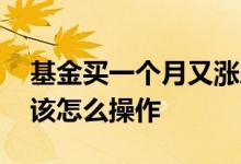 基金买一个月又涨后怎么样操作 基金慢涨应该怎么操作
