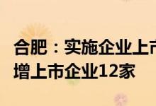 合肥：实施企业上市五年倍增行动全年确保新增上市企业12家