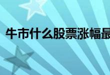 牛市什么股票涨幅最大 股票怎么涨才算牛市