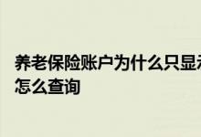 养老保险账户为什么只显示个人缴纳部分 养老保险账户余额怎么查询 