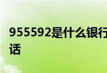 955592是什么银行电话 95559是什么银行电话