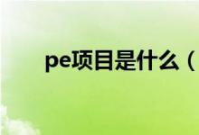 pe项目是什么（pe项目是什么意思）
