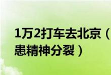 1万2打车去北京（家属称司机乱收费且女子患精神分裂）
